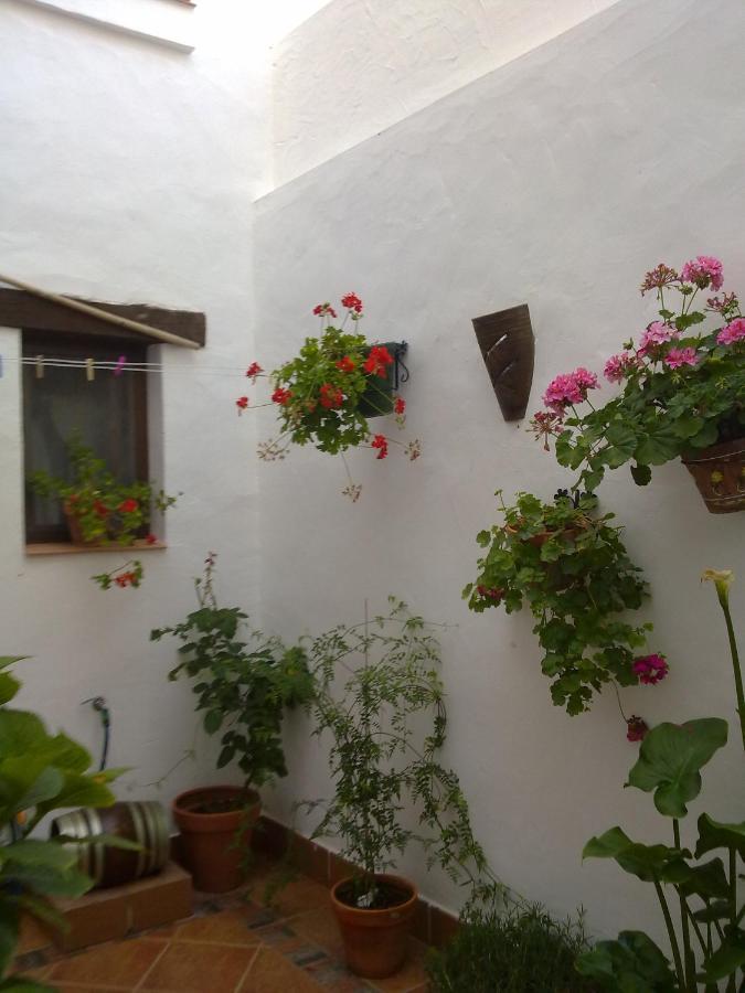 Casa Los Tres Aires El Rocío Zewnętrze zdjęcie