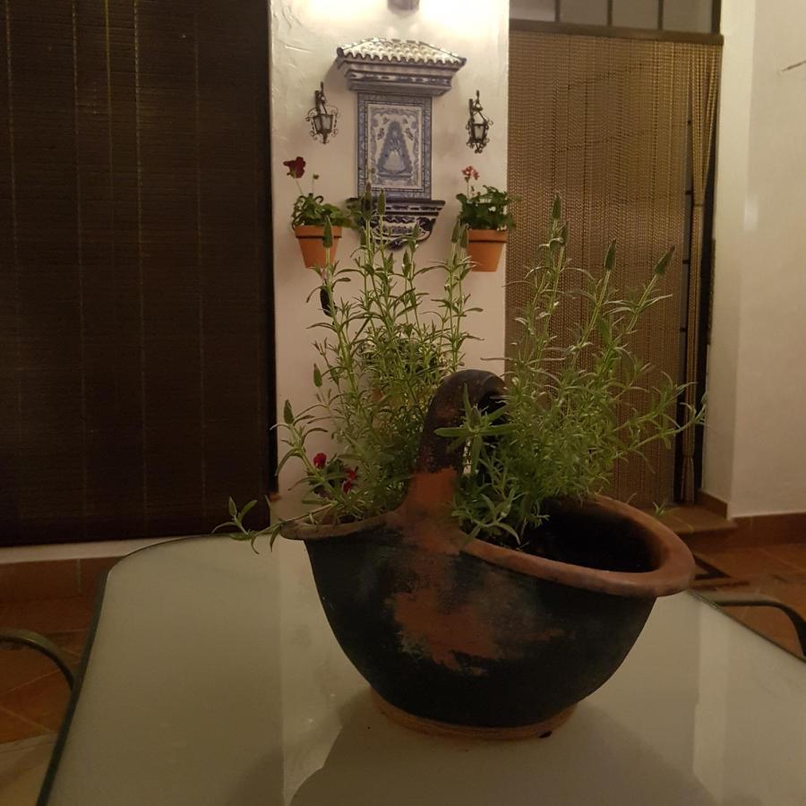 Casa Los Tres Aires El Rocío Zewnętrze zdjęcie